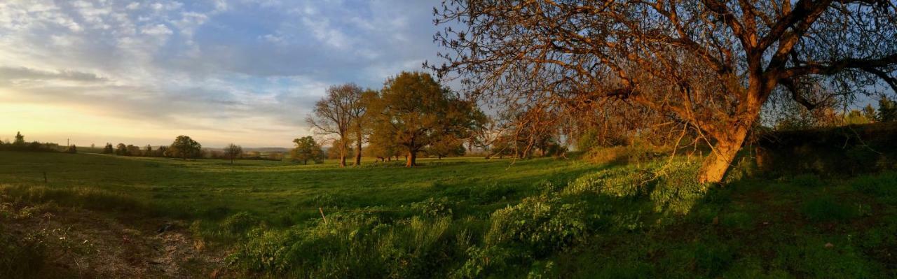 Chambre D'Hotes Ferme De La Forlonge Sauvigny-le-Beureal Esterno foto