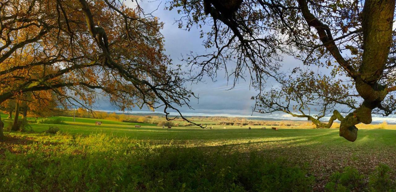Chambre D'Hotes Ferme De La Forlonge Sauvigny-le-Beureal Esterno foto