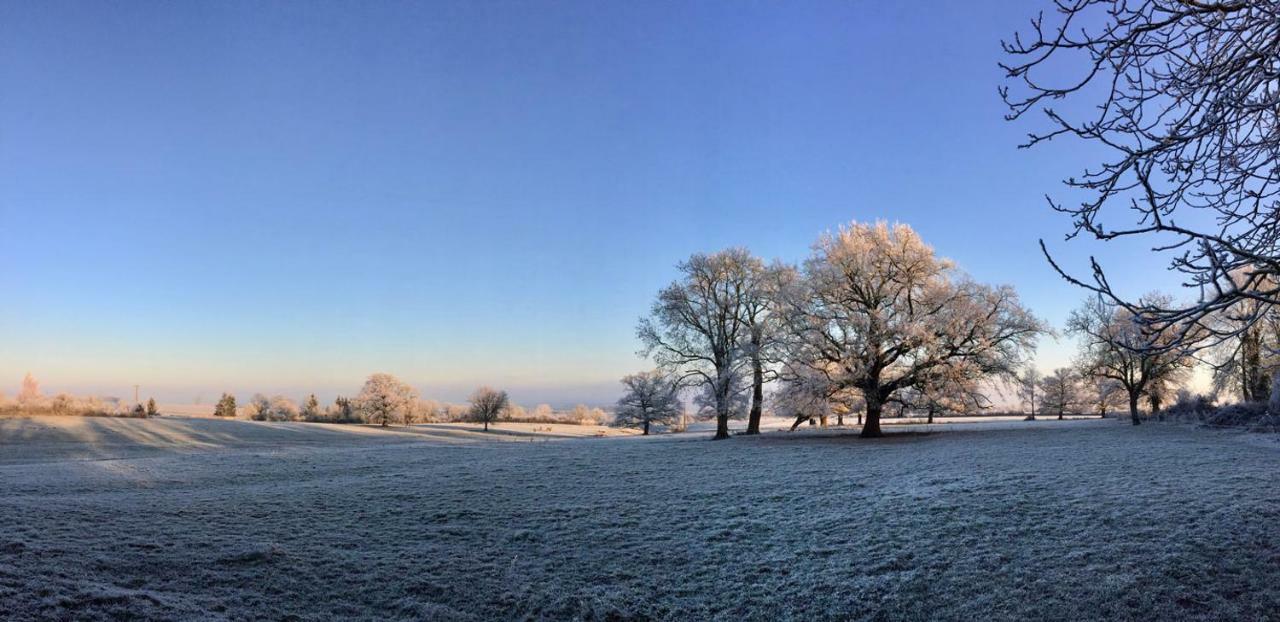 Chambre D'Hotes Ferme De La Forlonge Sauvigny-le-Beureal Esterno foto